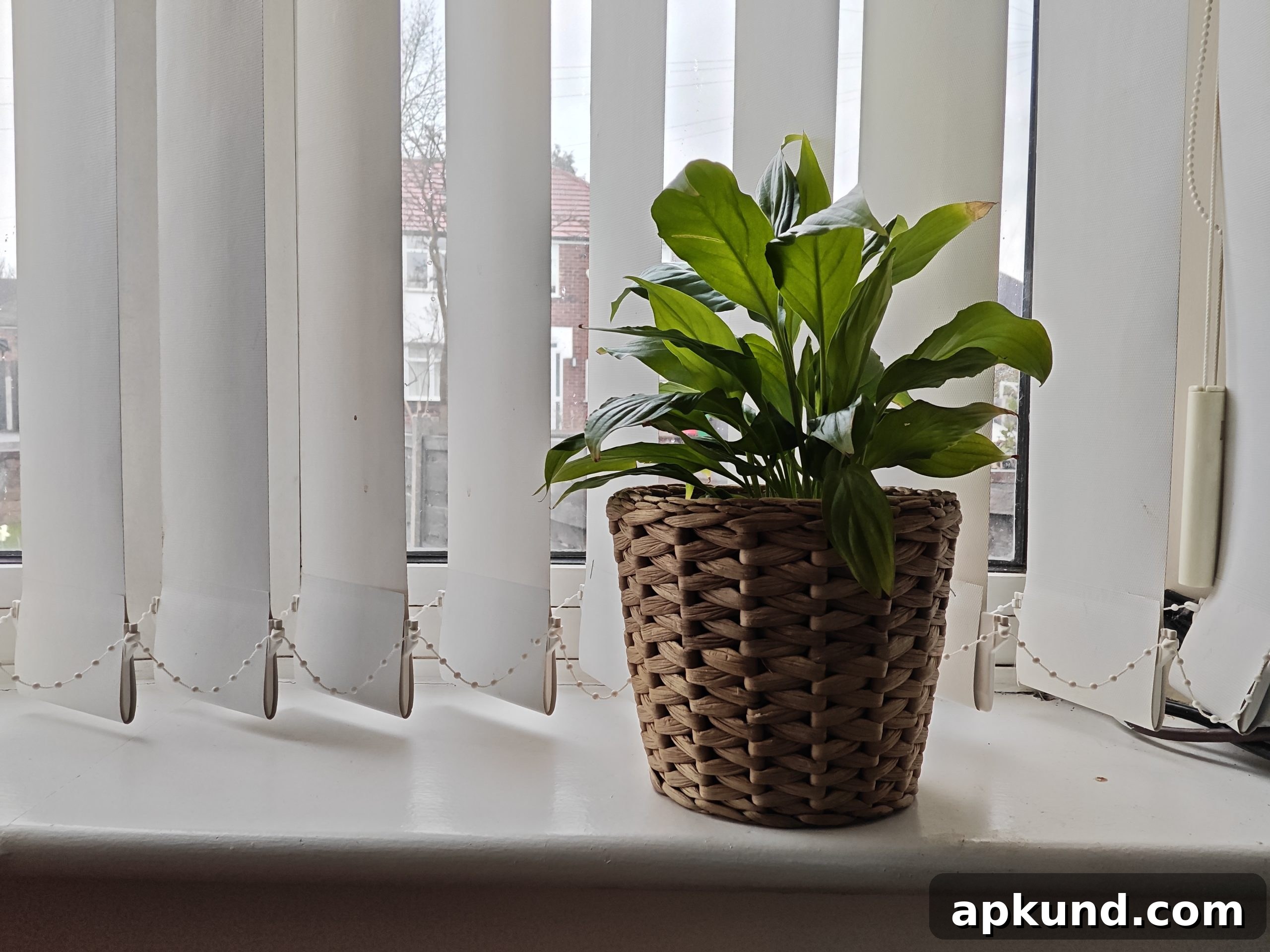 Pad 8 camera sample 1