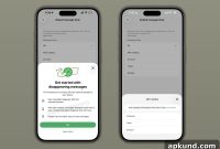 WhatsApp Disappearing Messages Get Smarter on iPhone