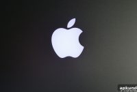 Apple Memory Issue Turns Political