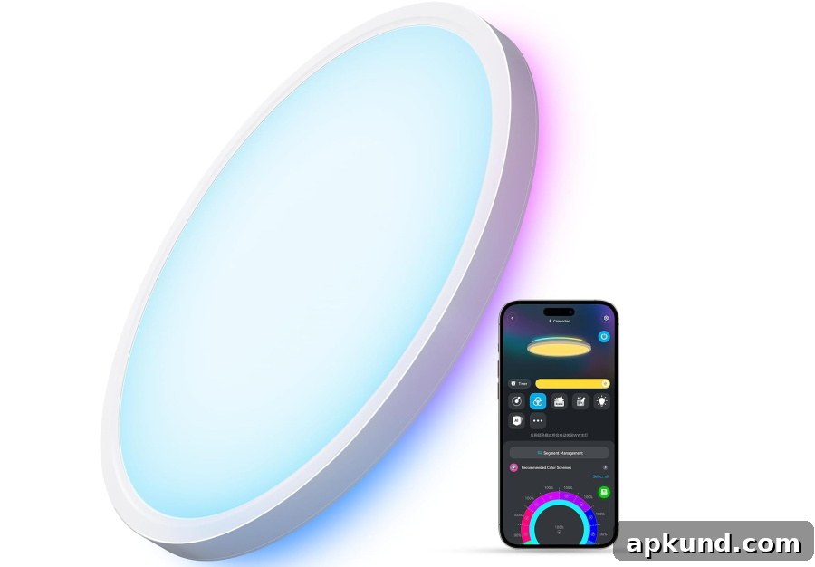 Govee Smart Ceiling Light